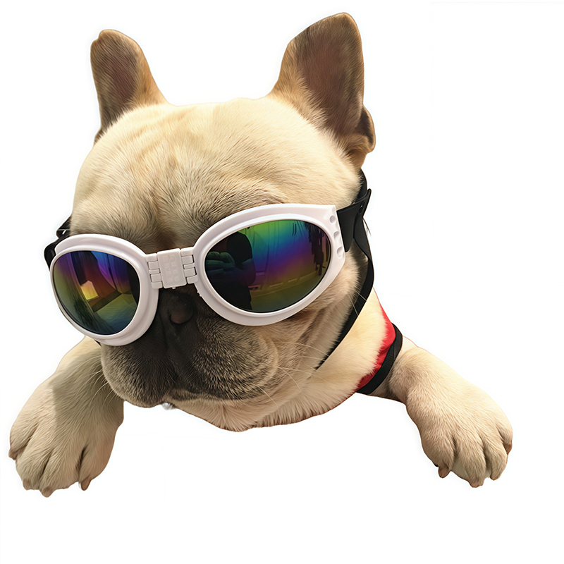 แว่นตาสัตว์เลี้ยง แว่นตาตกแต่งสุนัข แว่นตาแมว แว่นตาสัตว์เลี้ยงแบบพับได้ แว่นกันแดดกันลมและ UV