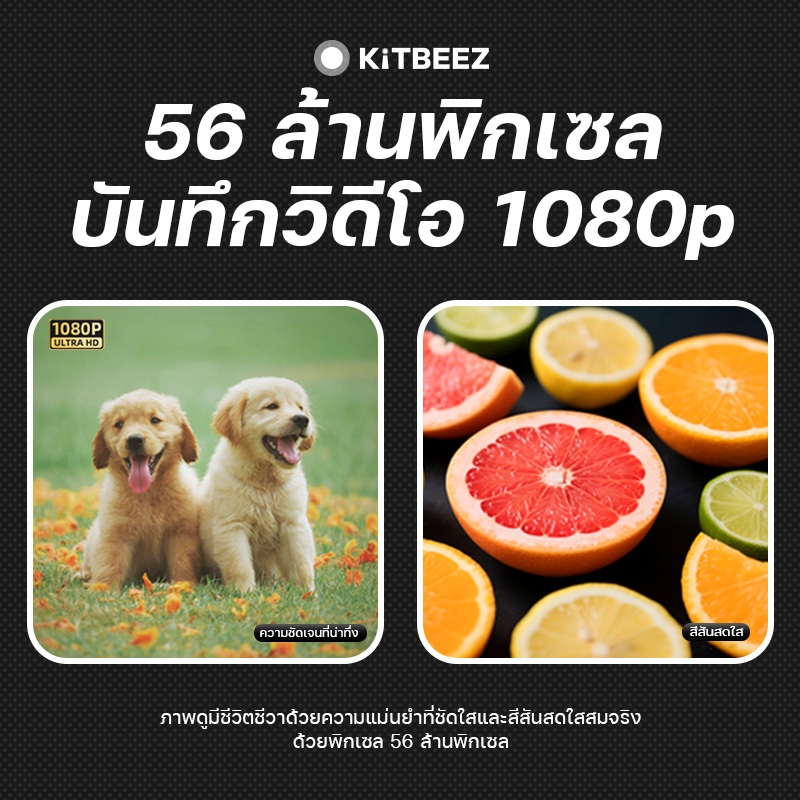 รูปภาพ 3