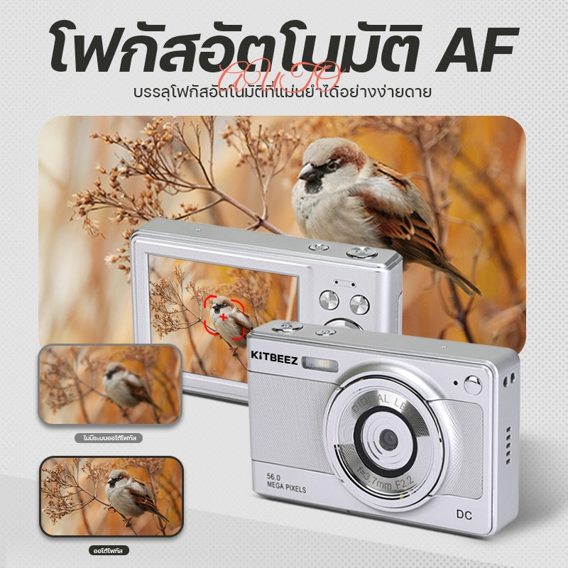 รูปภาพ 5