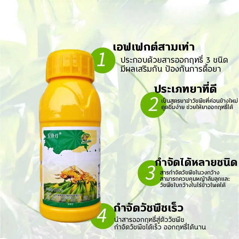 วัชพืชยาชุดข้าวโพด ยาฉีดทับข้าวโพด สารกำจัดวัชพืช 100g เข้มข้นสุดๆ ฆ่าหญ้ารอบข้าวโพด กำจัดหญ้าในไร่ข้าวโพด​​ กำจัดวัชพืชเท่านั้น ไม่ทำลายข้าวโพด ยารัวข้าวโพด อาทราซีน90 อะทราซีน อาทาซีน90 - รูปที่ 3