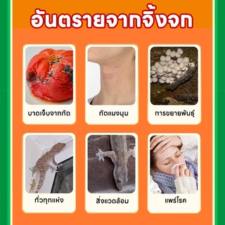 30เม็ด 30 ปี ไม่มีจิ้งจก PetNest ยาฆ่าจิ้งจก ยาฆ่าตุ๊กแก ยาไล่ตุ๊กแก ไล่จิ้งจก ฆ่า รุ่นอัพเกรดใหม่ 2025 เพิ่มปริมาณโดยไม่เพิ่มราคา เข้มข้นถึง 10 เท่า