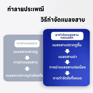 ❌เหยื่อดึงดูดแรง❌ MK ยาฆ่าแมงสาบ ฆ่าสาบ ยาสาบ 15g เหยื่อแมลงสาบจากมันบด แถมฟรีจานเล็ก สาป ไล่แมลงสาบ เจลแมลงสาบ