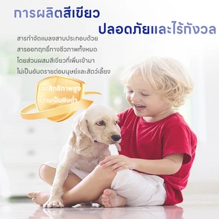 ❌เหยื่อดึงดูดแรง❌ MK ยาฆ่าแมงสาบ ฆ่าสาบ ยาสาบ 15g เหยื่อแมลงสาบจากมันบด แถมฟรีจานเล็ก สาป ไล่แมลงสาบ เจลแมลงสาบ