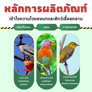 ❗กลิ่นที่นกไม่ชอบ❗ OA ก้อนไล่นก ไล่นกพิราบ ไล่นกกระจอก ไล่นก 18 ชิ้น / ถุง กลิ่นธรรมชาติ ไล่นกได้ผล ไม่ทำร้ายนก วางไว้ตรงระเบียง หลังคา หรือเครื่องแอร์นอกบ้าน