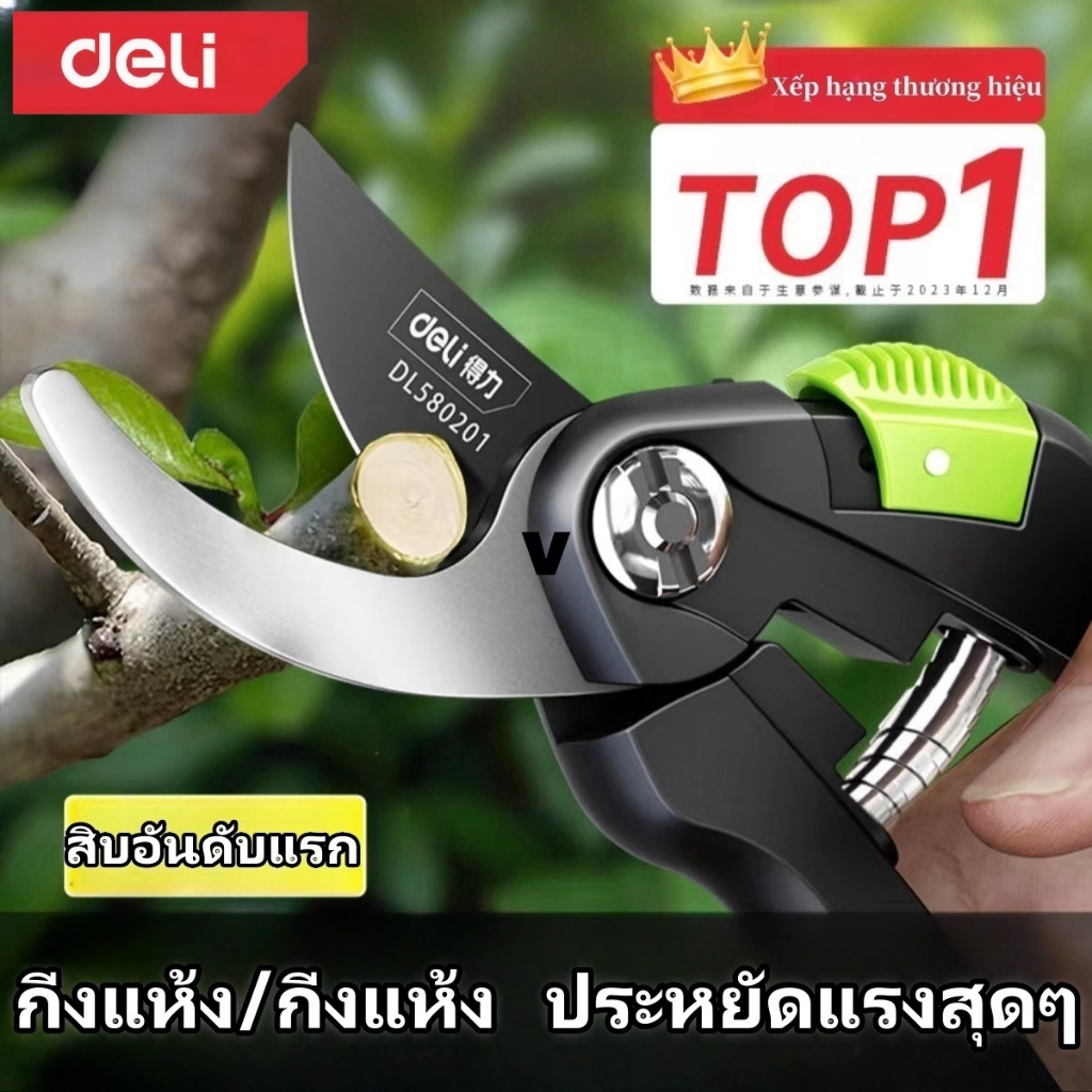 กรรไกรตัดแต่งกิ่ง Deli SK5 คม ทนทาน กรรไกรตัดแต่งกิ่งโลหะ กรรไกรทําสวน