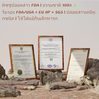 【12 แพ็ค】Royo Panda ทิชชู่ ทิชชู่แบบแขวน 120*170มม แผ่นนุ่มอากาศ นุ่มสบาย 3ชั้น 8280แผ่นกระดาษทิชชู่