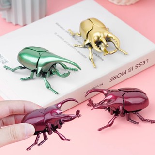 โมเดลแมลงจําลอง ของเล่นสําหรับเด็ก 1 ชิ้น YL212