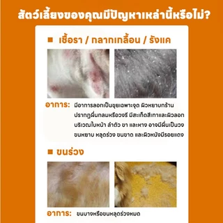 🔥 ฉีดปุ๊บเห็นผล สเปรย์ผิวหนังสัตว์เลี้ยง ขี้เรื้อน เรื้อน แผลสุนัข ใช้ได้ทั้งสุนัข แมว และสัตว์เลี้ยงอื่น ๆ 500ml