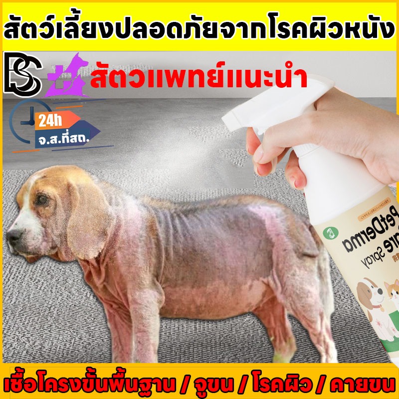 🐶สูตรธรรมชาติ ปลอดภัย สัตว์เลี้ยงเลียได้🐱BS&EX ขี้เรื้อน เชื้อรา ขนร่วง เกาคัน เชื้อราแมว สเปรย์ขีเรื้อน 500ml สูตรธรรมชาติ เลียได้ไม่เป็นอันตรายต่อสัตว์เลี้ยง
