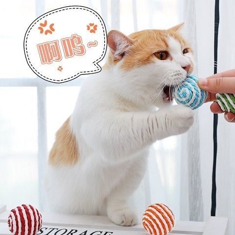 ของเล่นลูกบอลพลาสติกน่ารัก สําหรับสัตว์เลี้ยง สุนัข แมว - รูปที่ 3