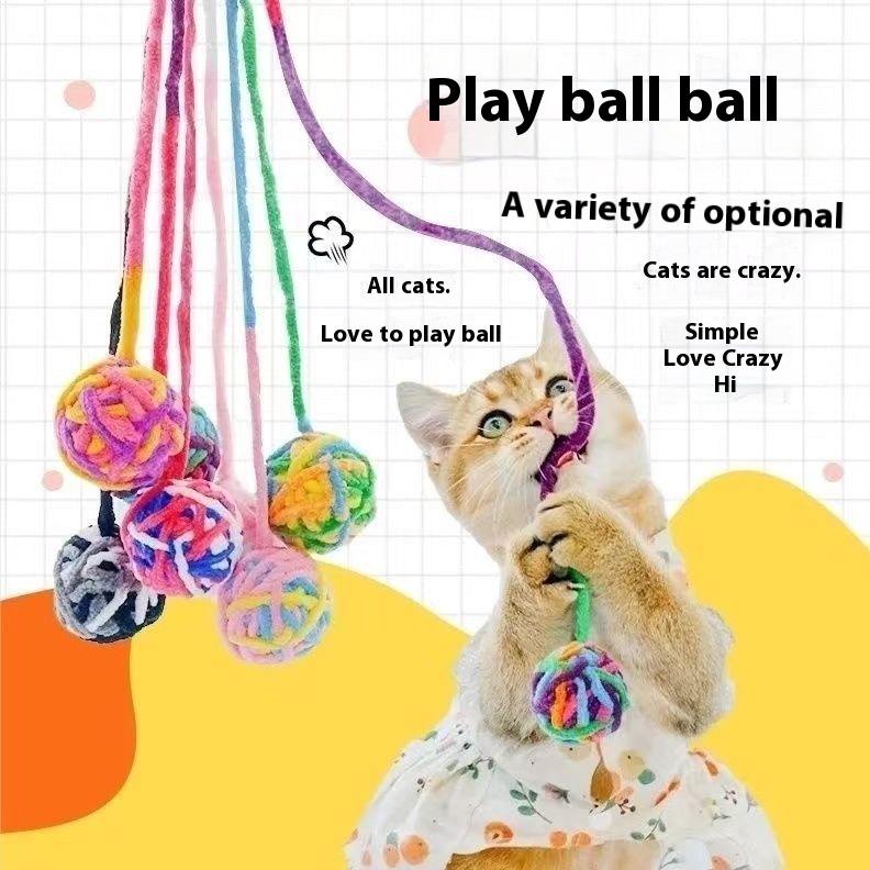 ของเล่นลูกบอลพลาสติกน่ารัก สําหรับสัตว์เลี้ยง สุนัข แมว