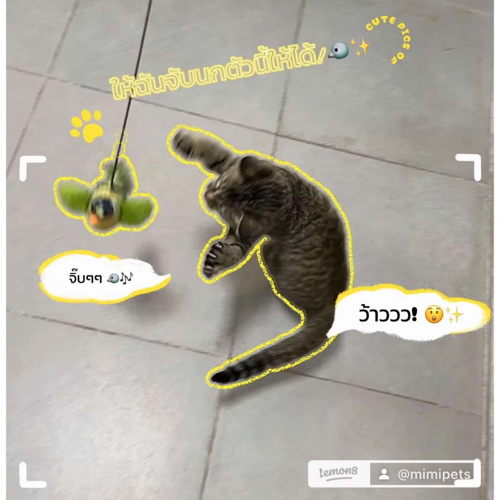 ของเล่นแมว lemon8 ตุ๊กตานกแขวนขนนุ่มมีเสียง นกจำลองเสียงจริงกระตุ้นแมวเล่นสนุก ใช้ได้ทุกวัย