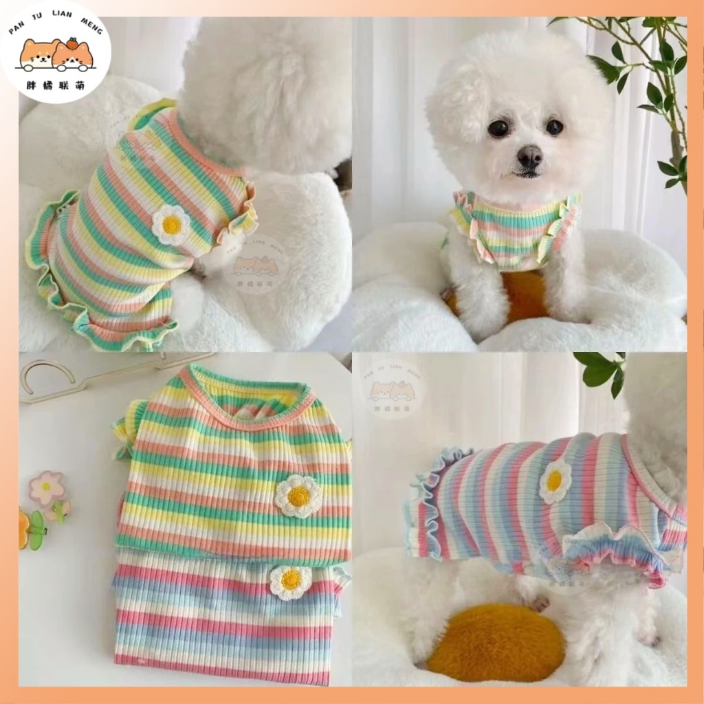 ชุดน้องหมา พันธ์ุ เล็ก🌈 ผ้าลมไหลผ่านดี + ลายปักสวย ✔️  ชุดหมา สีรุ้งน่ารัก ไซส์  ชุดแมว S-XXL