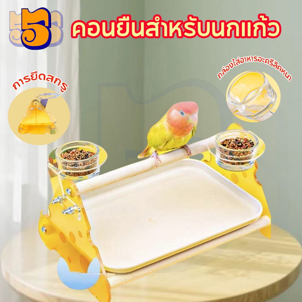 555PET คอนยืนสำหรับนกแก้ว มีที่ใส่อาหาร คอนลับเล็บนก คอนรูปตัวทีไซส์เล็ก คอนนกยืน