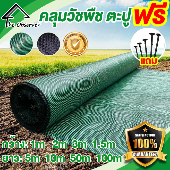 ตะปูฟรี* พลาสติกคลุมวัชพืช หนาขึ้น (เกรด A) คลุมดิน ผ้าคลุมหญ้า ผ้าคลุมวัชพืช 5/10/50/100 เมตร