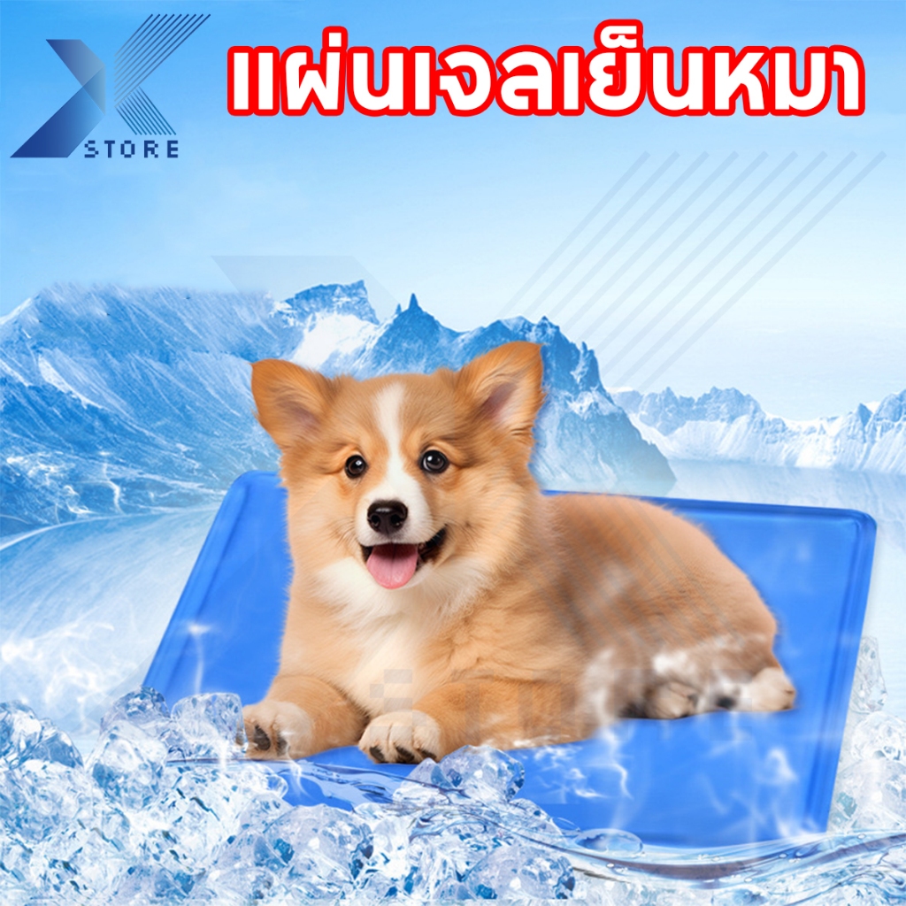 Xstore แผ่นเจลเย็น ที่นอนเย็น เบาะเย็นแมว แผ่นเย็นหมา ที่นอนแมว สัตว์เลี้ยง ที่นอนเจลเย็น แผ่นเจลเย็นแมวสุนัข