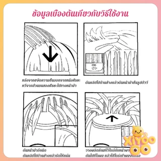 XiyOo ส้อมยกโคน ฟัน3ขี่/6 สไตล์เกาหลี หวียกโคนผม แบบ เพิ่มวอลลุ่มให้ผม กิ๊บยกโคนผม