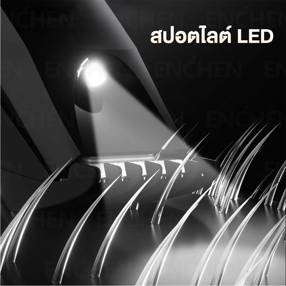 รูปภาพ 5