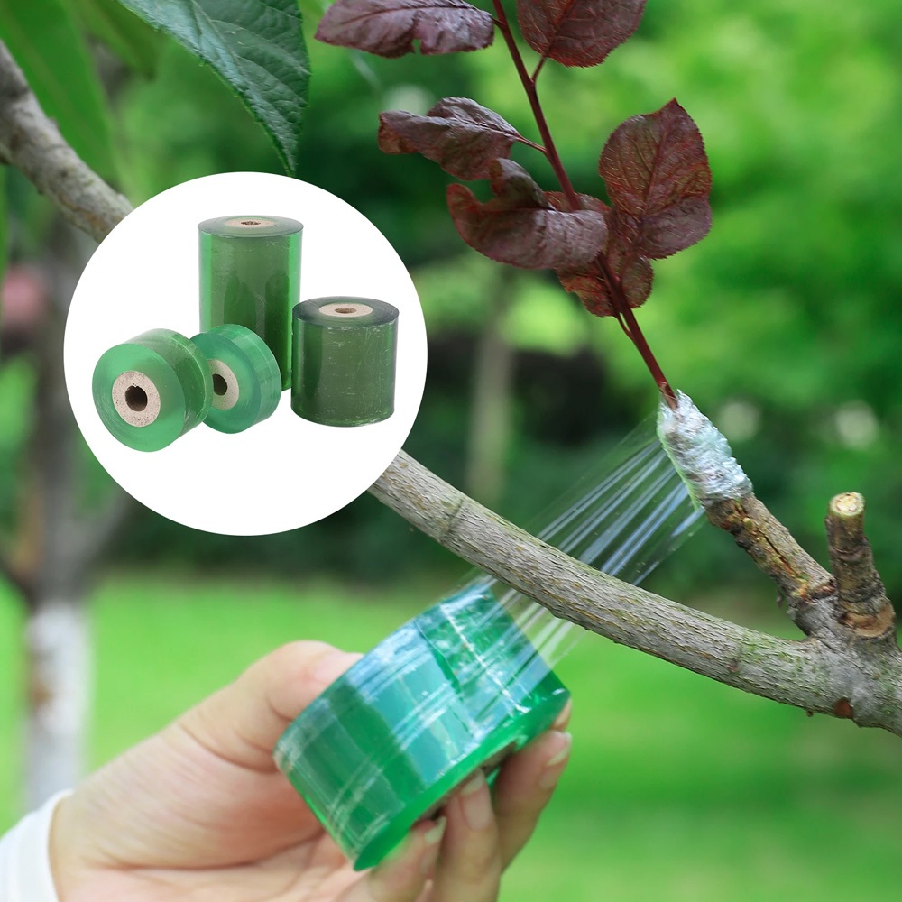 PE Grafting เทปฟิล์ม Self-กาวสวนต้นไม้ต้นกล้า Vine Tomato Grafting อุปกรณ์เสริมยืด 20/30/60/100 มม.ความกว้าง