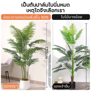 🔥พืชสีเขียวจำลอง 99%🔥 ไม้ปลอม ต้นไม้ปลอมใหญ่ 65/85/95/125cm ฟรีกระถางดอก +หินตกแต่ง ต้นไม้แต่งบ้าน+การตกแต่งร้านกาแฟ สไตล์นอร์ดิก ในบ้าน มงคล ต้นไม้ประดิษฐ์ ตกบ้าน สวยๆ ห้อง มงคลสวยๆ มงคลปลอม