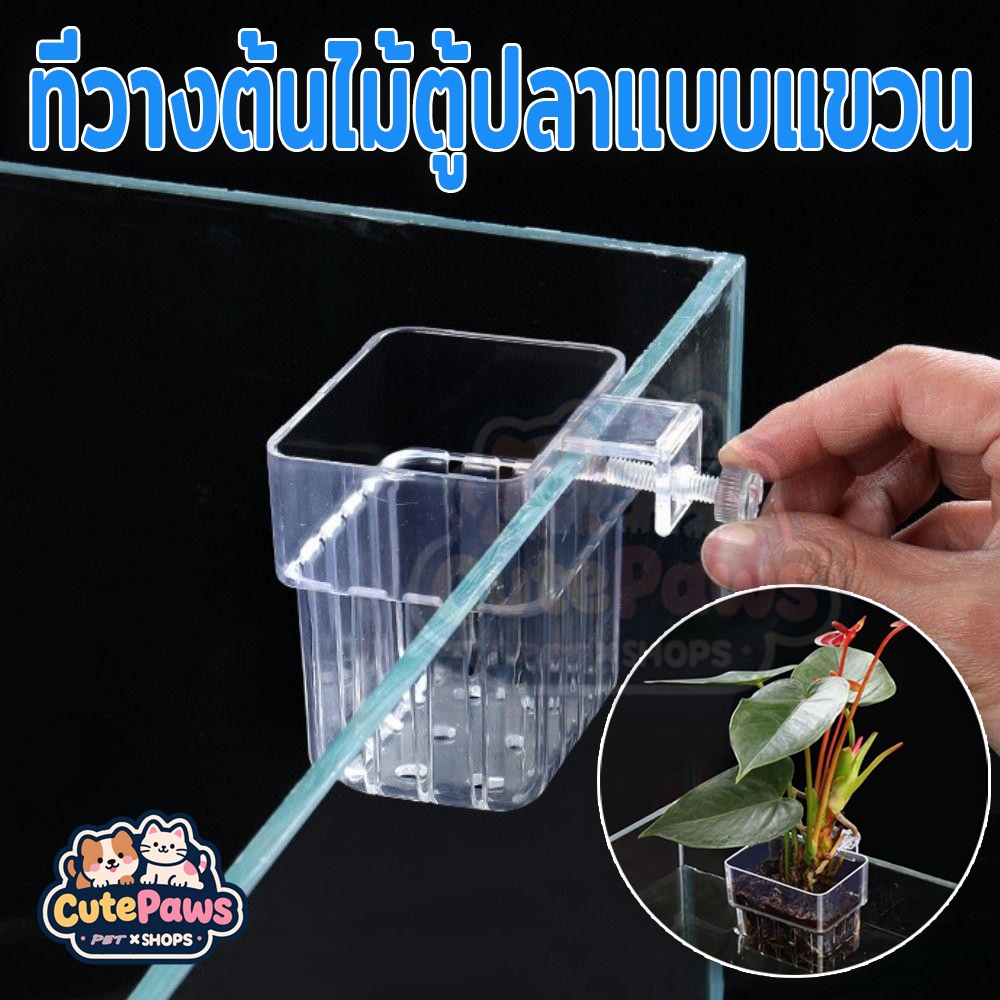 ที่วางต้นไม้ตู้ปลาแบบแขวน ถ้วยรองรับไฮโดรโปนิกส์ Al Fish Aquarium Water Grass Plang Cup ภูมิทัศน์ตกแต่ง