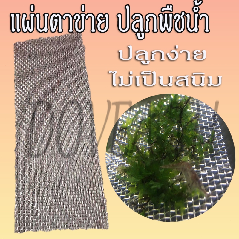 ตาข่าย แผ่นตาข่าย ปลูกพืชน้ำ สเตนเลส ทนทาน อุปกรณ์ตู้ปลา