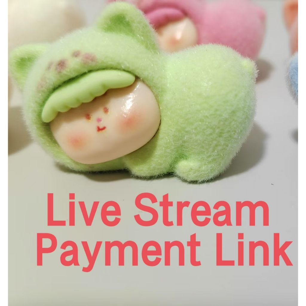 P1000 ลิงค์การชําระเงินสตรีมสด