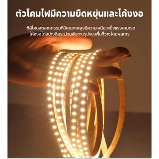 WOW 12v/24v แถบไฟแรงดันต่ำ 2835 5m/10m ม้วนทั้งหมด ป้องกันไฟฟ้าช็อต ติดตั้งด้วยตนเองฟรี บ้าน / วิศวกรรม วัตถุประสงค์ทั่วไป
