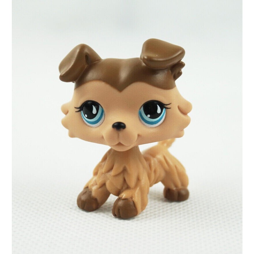 Littlest Pet Shop LPS Brown COLLIE ลูกสุนัขสุนัข #893 ของเล่นเด็กฟิกเกอร์ Blue Eyes