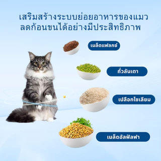 Mr.Vet T1 Chicken & Beef 5กก. อาหารแมวระดับพรีเมียมสําหรับการปรับปรุงทางเดินอาหาร