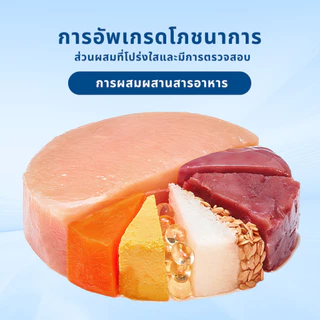 Mr.Vet T1 Chicken & Beef 5กก. อาหารแมวระดับพรีเมียมสําหรับการปรับปรุงทางเดินอาหาร