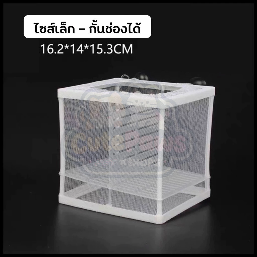 ตาข่าย กล่องแยกเพาะพันธุ์ปลา กุ้ง สัตว์น้ำขนาดเล็ก ปลาคลอดลูก thumbnail 8