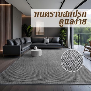 พรมปูพื้นห้องนั่งเล่น  ขนาดใหญ่  พรมปูพื้นมินิมอล พรมตกแต่ง …