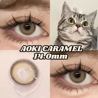 คอนแทคเลนส์ตาหวาน【0.00~-6.00】UYAAI คอนแทคเลนส์สีน้ำตาลธรรมชาติ Brown คอนแทคเลนส์แบบนิ่มรายเดือน