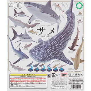 IKIMON ของแท้จากญี่ปุ่นของเล่นแคปซูล ฉลามสัตว์ทะเลvol.1 ฉลาม…
