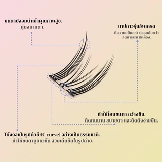 ซื้อ1แถม1 ขนตาปลอม Press On Lash ไม่ต้องใช้กาว ติดง่าย ธรรมชาติ 8 แบบให้เลือก Ellery-Alle