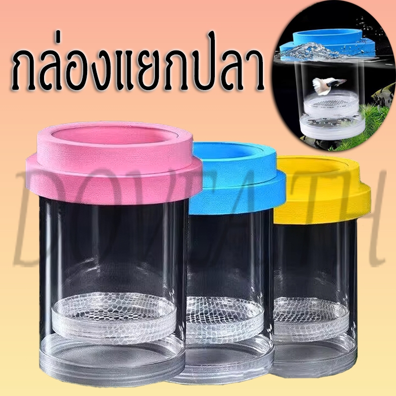 กล่องแยกปลา กล่องแยกพันธุ์ปลา กล่องฟักไข่ปลา แบบลอยน้ำ สำหรับตู้ปลา