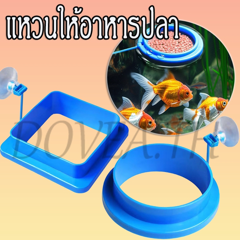 แหวนให้อาหารปลา ที่ให้อาหารปลา ห่วงให้อาหารปลา แบบลอยน้ำ ทรงกลม/สี่เหลี่ยม สําหรับตู้ปลา
