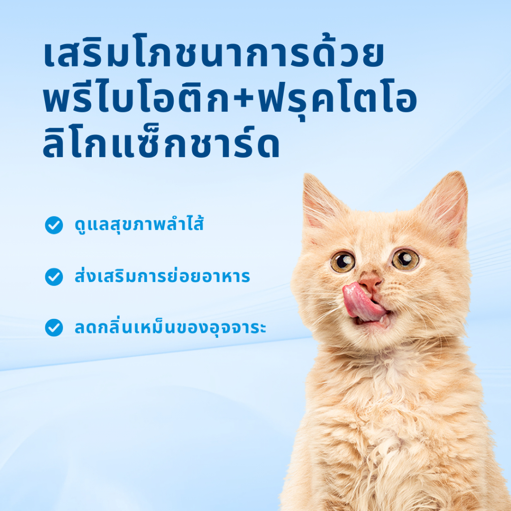 Mr.Vet Cat Taurine อาหารเสริม TREATS 60g – for Better Vision & Heart Health – เหมาะสําหรับแมวทุกวัย ราคา ถูกที่สุด ดีลบีเคเค แกลเลอรีภาพที่ 7