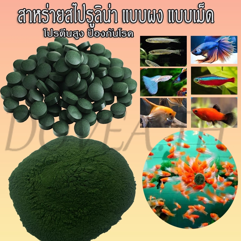 สาหร่ายสไปรูลิน่า แบบผง แบบเม็ด โปรตีนสูง ป้องกันโรค อาหารปลา 50g