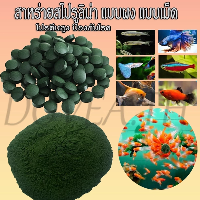 สาหร่ายสไปรูลิน่า แบบผง แบบเม็ด โปรตีนสูง ป้องกันโรค อาหารปลา 50g