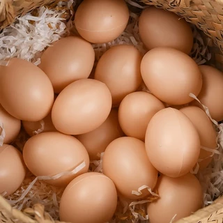 1/5/10 ไข่ปลอมไก่สัตว์ปีกฟักไข่จําลองไข่เทียมทําเองทาสีของเล่น