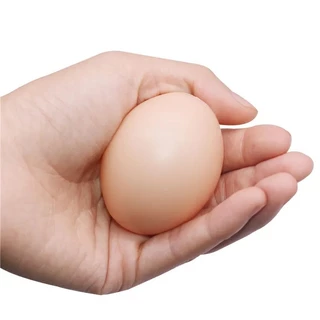 1/5/10 ไข่ปลอมไก่สัตว์ปีกฟักไข่จําลองไข่เทียมทําเองทาสีของเล่น
