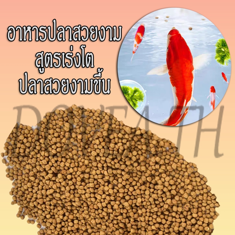 อาหารปลา อาหารปลาสวยงาม อาหารปลาคาร์ฟ สูตรเร่งโต เร่งสี ปลาสวยงามขึ้น 8g ราคา ถูกที่สุด ดีลบีเคเค รูปภาพหลัก
