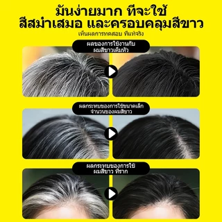 SEVICH เซวิช กันน้ําสีผมติด 15ก ผมสีขาวปิดสีเทาลิปสติกหวีย้อมผม