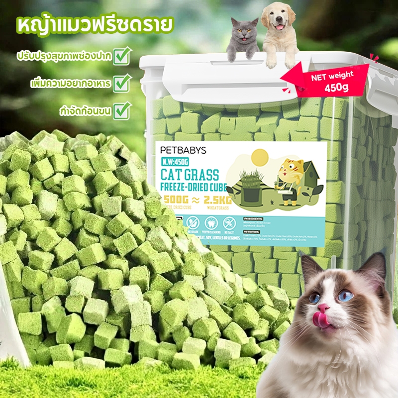 หญ้าแมวฟรีซดราย 450 กรัมน้ำหนักสุทธิ ผสมอกไก่แ ช่วยสำรอกก้อนขน ไม่ต้องเสียเวลาปลูก ขนมแมว กินง่าย