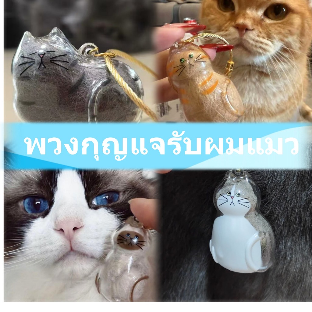 แมวผมที่ระลึกพวงกุญแจน่ารักแมวขนกล่องเก็บกาชาปองเสน่ห์สัตว์เลี้ยงอนุสรณ์ของขวัญสําหรับคนรักแมว