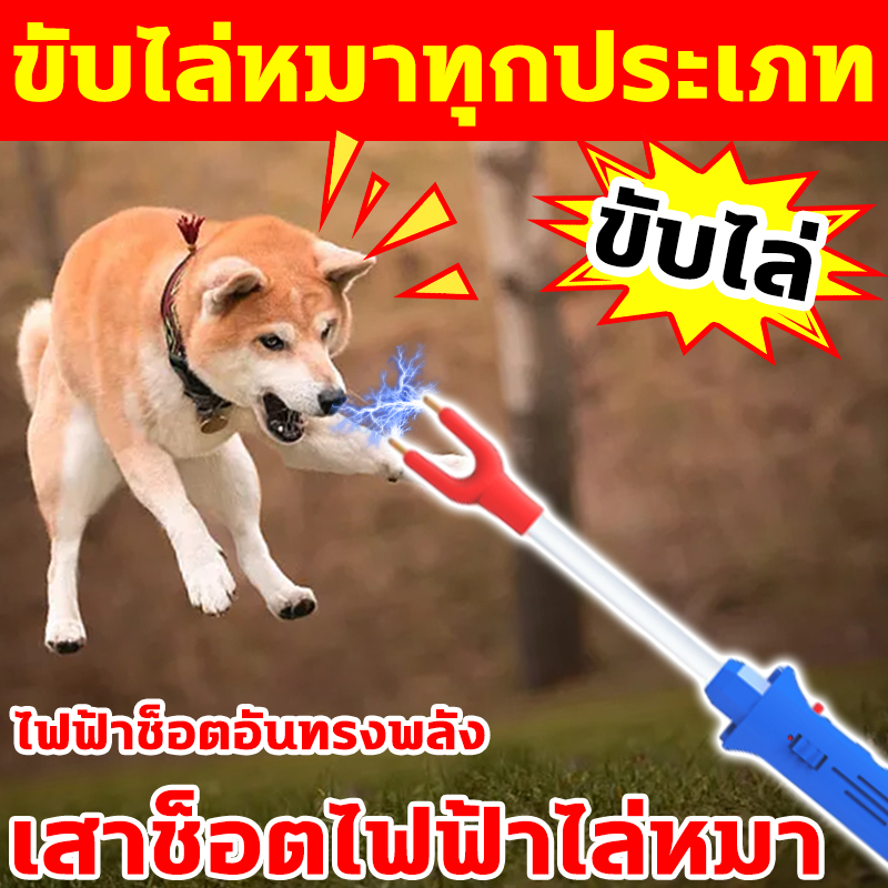 สุนัขกัดไฟฟ้ายามค่ำคืนขับไล่สุนัขบ้า