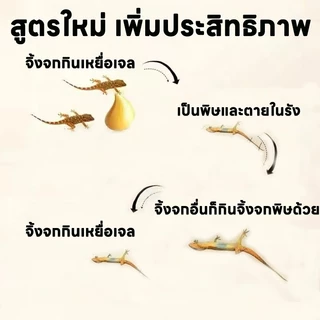 🦎กำจัดตุ๊กแกได้ทุกที่ทุกเวลา🦎Feh ยาจิ้งจก ไล่จิ้งจก สูตรปรับปรุงจากญี่ปุ่น คุ้มค่า ควบคุมแมลงสาบได้ง่าย