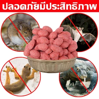 🐁ไม่มีหนูใน50ปี🐁ยาเบื่อหนู ขนาด70-80เม็ด ชอบมาก เหยื่อกำจัด ผสมธัญพืชที่ชอบอัดแน่นเต็มเม็ด ยาเบื่อแห้ง ตายแบบแคลเซียม ไม่มีกลิ่นเหม็น ขนมตายแห้ง ฆ่าหนูใน3วินาท ยาเบื่อบ้าน จดสิทธิบัตร* สูตร ฆ่าในบ้าน ฆ่า สำเร็จรูปใช้งานได้เลย